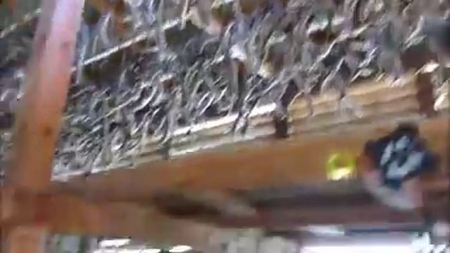 Мараловодческое хозяйство «Карым» смотреть онлайн