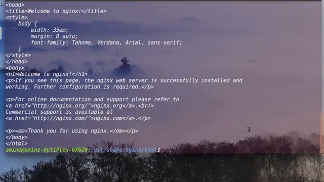 Linux Introduction To Nginx Web Server смотреть онлайн