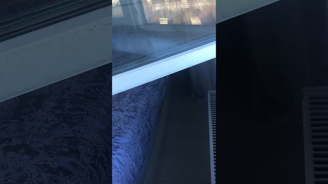 Замер створки по фальцу смотреть онлайн