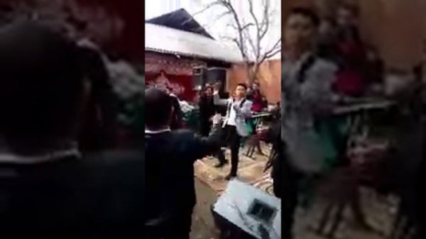 Туй дар дехаи Амондара.