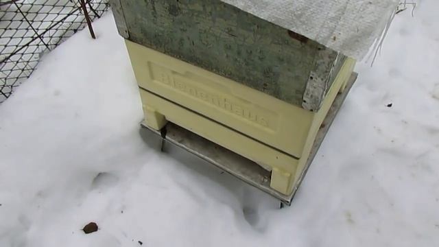 ужасы на пасеке Ужакина Игоря - зимовка с закрытыми летками в момент морозов с декабря по январь смотреть онлайн