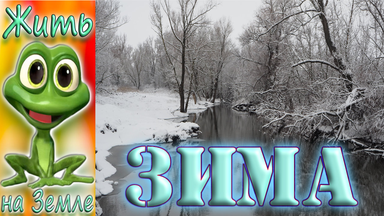 Зима-красавица