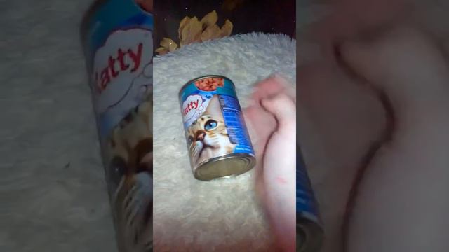 Что я покупать своей кошки из вкусняшек смотреть онлайн