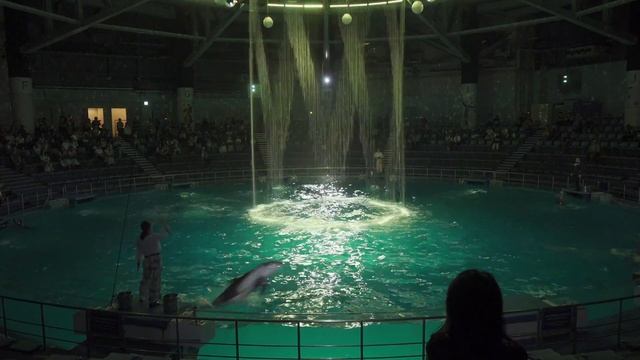 SONY FDR-AX700 HLGでパンフォーカス смотреть онлайн