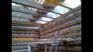 Баня из сосны: явные плюсы и весомые минусы