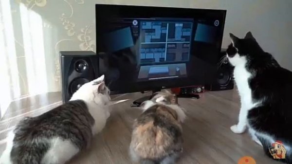 продолжение анука давайка и амонг ас в 9:40