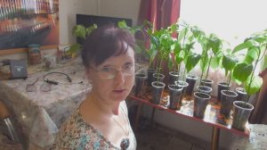 Видео привет с 6 соток 29 апреля 2024 года