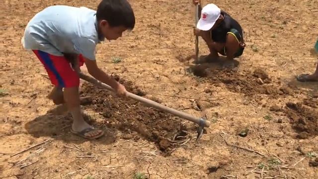 Красивая девушка, приготовляющая улитки и крабы | лучшая камбоджийская еда в моей деревне #60 смотреть онлайн