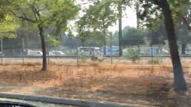 Скидки в Costco. Подготовка к дню рождения [Vlog 43] смотреть онлайн