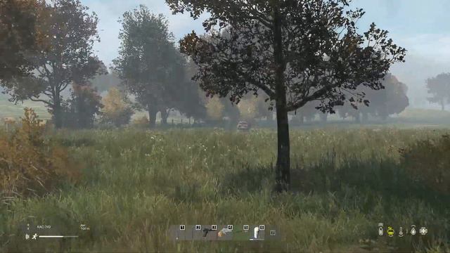 Как бы еще покуролесить в DayZ? смотреть онлайн