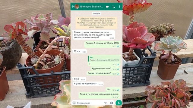 Осторожно!Мошенники в WhatsApp! смотреть онлайн