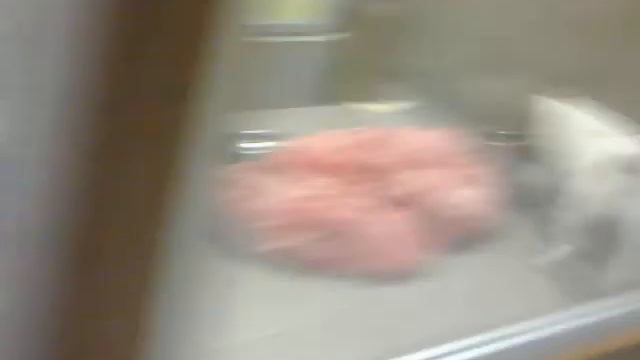 Зоомагазин