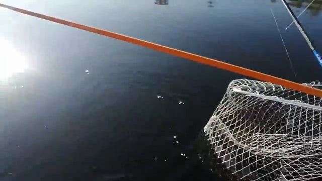 поймали щукаря, рыбалка в вологодской области смотреть онлайн