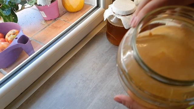 ЧАЙНЫЙ ГРИБ.СТЕВИЯ ВМЕСТО САХАРА. КОНЕЦ ЭКСПЕРИМЕНТАМ смотреть онлайн