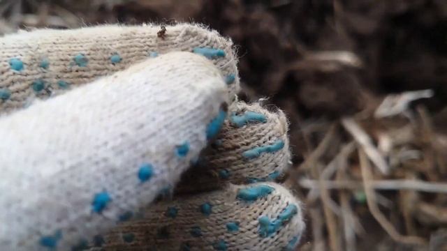 Для DEUS 2 выбитых полей не бывает! #xpdeus #коп2023