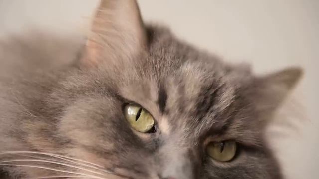 Да мы не стесним, тем более у тебя квартира большая смотреть онлайн