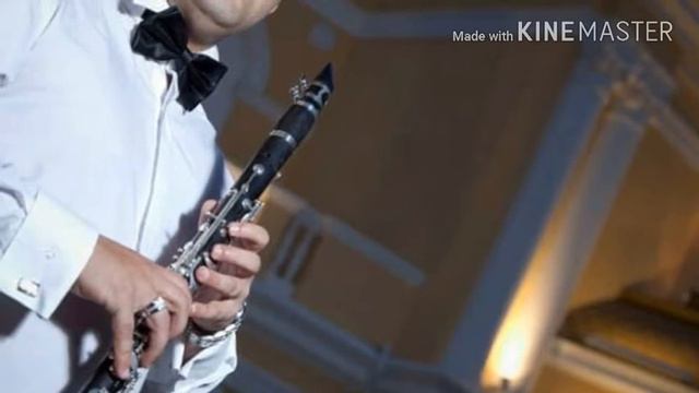 Perviz Klarnet super ifa Seymur Tural Sehriyar Seyid смотреть онлайн