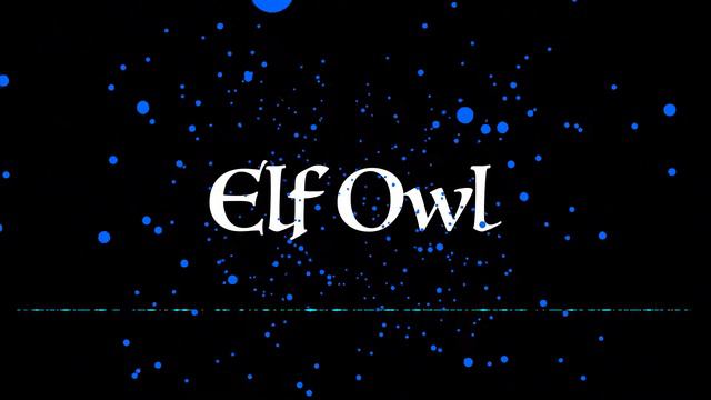 Elf Owl (Original composition) смотреть онлайн