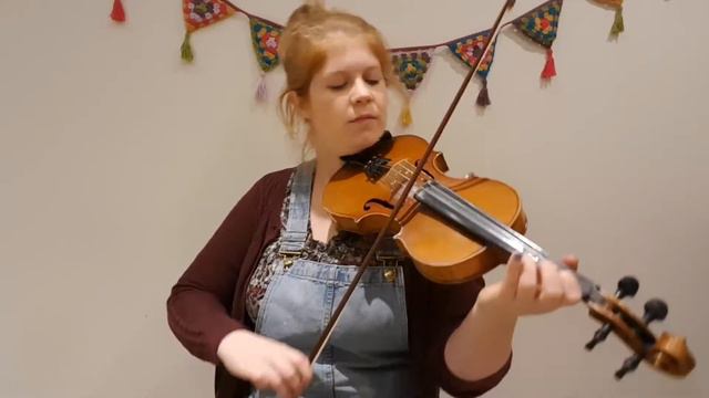 Lads of Laois (Irish Reel) FIDDLE TUNE A DAY 🎶 смотреть онлайн