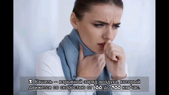 Факты о теле человека. смотреть онлайн