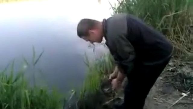 Итог рыбалки на теплом канале в Новочеркасске. смотреть онлайн