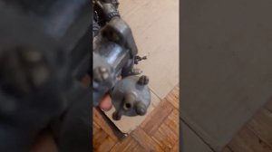 РЕТРО-МОТО КАРБЮРАТОРЫ К38, К301