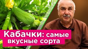 КОМПАКТНЫЕ, НО ОЧЕНЬ УРОЖАЙНЫЕ И ВКУСНЫЕ СОРТА КАБАЧКОВ! Собирайте урожай кабачков уже в июне