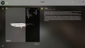 Русская рыбалка 4 / Russian fishing 4 . Река Ахтуба . Трофейный Ерш на фидер и Чехонь на поплавок .