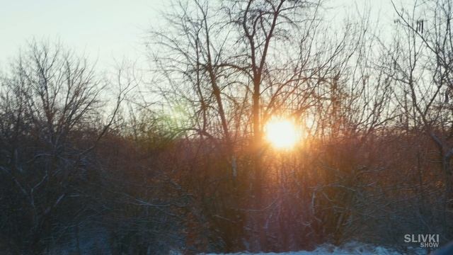 20 ЛИТРОВ БЕНЗИНА + ПЕТАРДА! смотреть онлайн