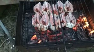 Стейк из форели и Лосося  на мангале !!!! (Решётки )!!!