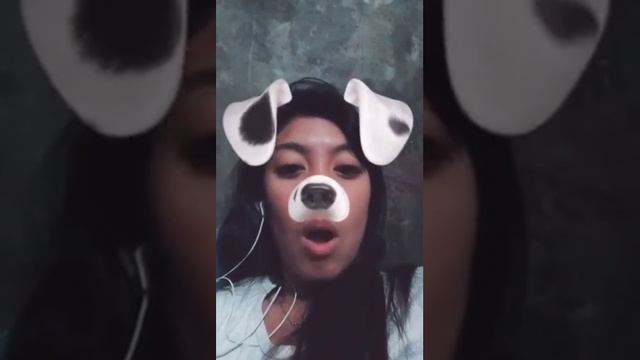 Who let the dogs out challenge смотреть онлайн