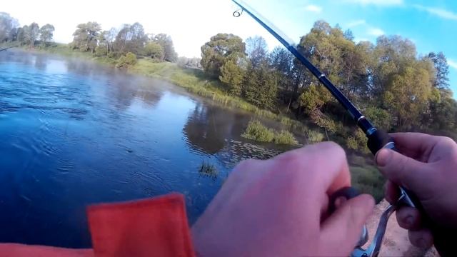 Спиннинговые хождения по Упе, июнь 2017