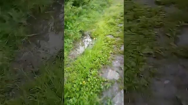 НСО,Станция Иня Восточная,"дорожноё покрытие"на ул.Переулок Логовой! смотреть онлайн