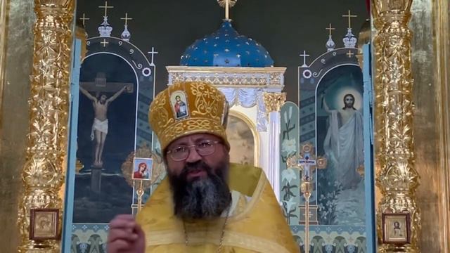 Голосуем по совести! смотреть онлайн