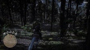 Red Dead Redemption 2, где найти легендарную шкуру пантеры.