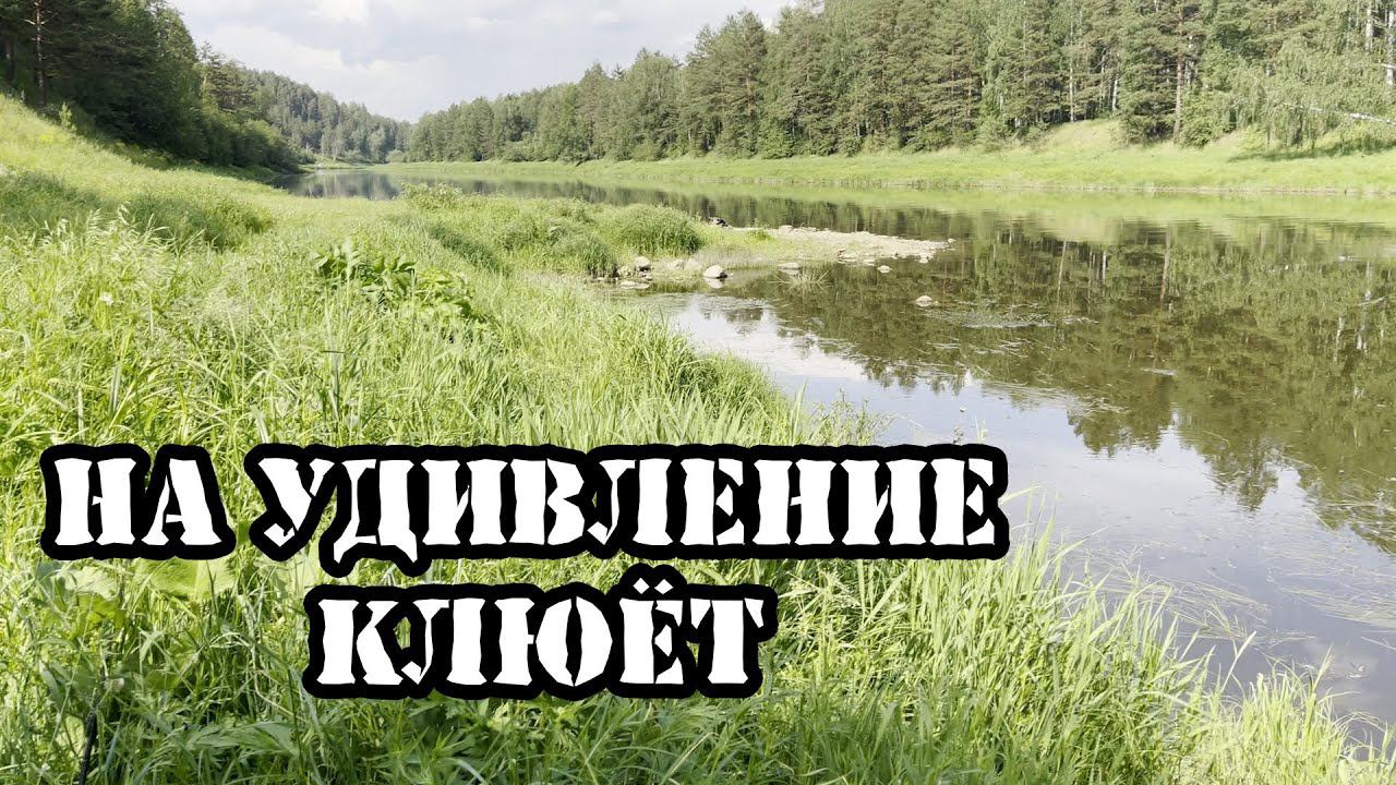 Рыбалка с сыном на реке смотреть онлайн