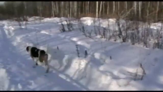 Cтрана Сибирь 2 (прикольная) смотреть онлайн