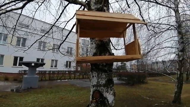 Модель обнаружила кормушки для птиц смотреть онлайн
