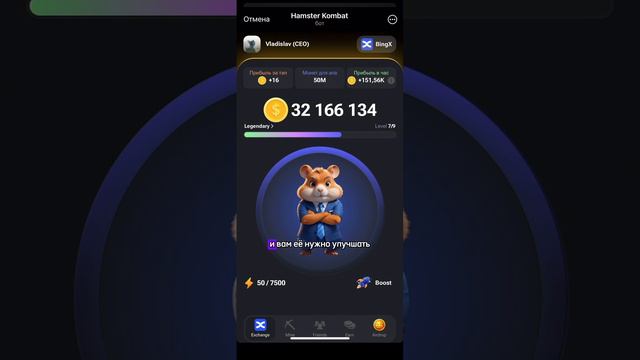 Что такое Hamster Kombat