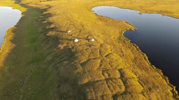 Ямал. Стоянка на озере у Байдарацкой губы. август 2020 ©️ Алексей Кольбов / MZUNGU EXPEDITIONS, 202