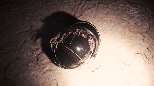 Sand Caves Guide 3.18 [4K] Star citizen | How to find the new sand caves and what to expect #NoTalk смотреть онлайн