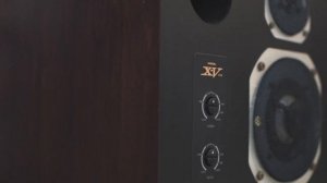 Акустическая система CORAL X-V и X-VII. Почему акустике нужна доработка?