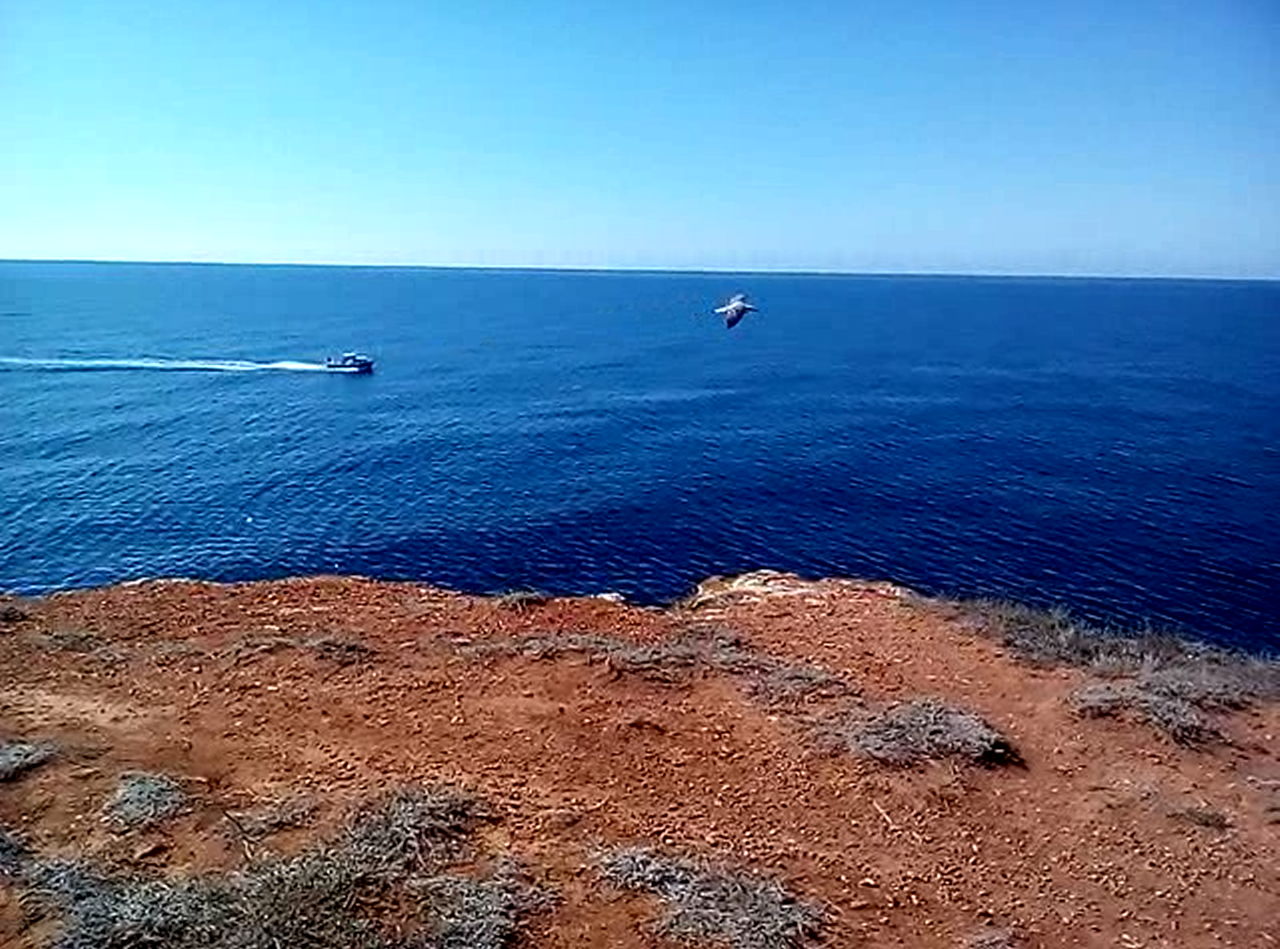 Острова, корабли и Робинзоны - моя волшебная одиссея)☀️ смотреть онлайн