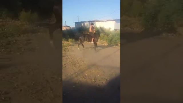 Наманган учкурган смотреть онлайн