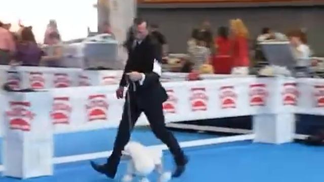 expo Talavera de la Reina смотреть онлайн