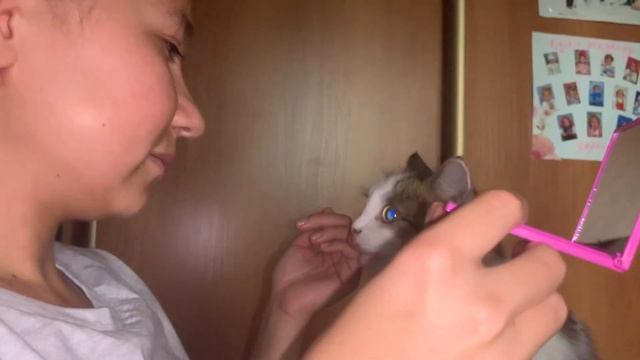 ?ВЛОГ:МЕНЯ УВЕЗЛИ В БОЛЬНИЦУ НА СКОРОЙ|диагноз-АППЕНДИЦИТ ?? смотреть онлайн