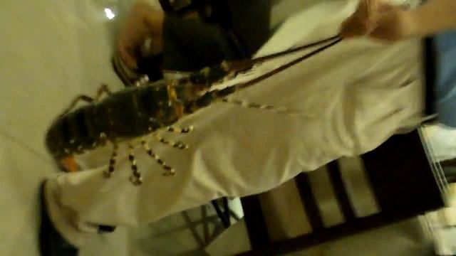 Riesen Lobster 2 смотреть онлайн