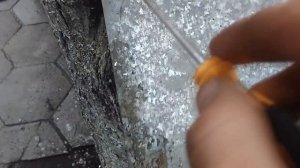 Дупла в плодовых деревьях  Способы лечения.