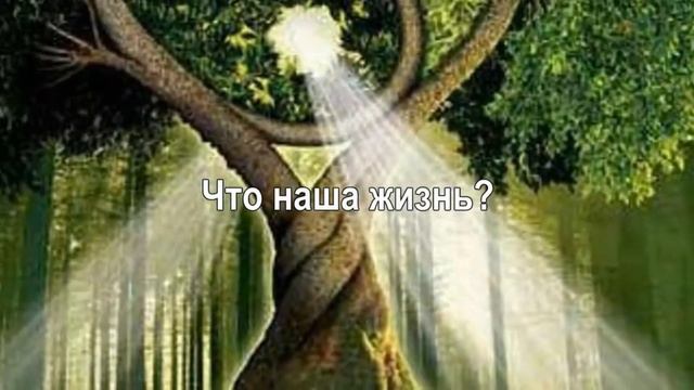 Что наша жизнь?....#(монтаж) ведьмы Mata Ular 2020 смотреть онлайн