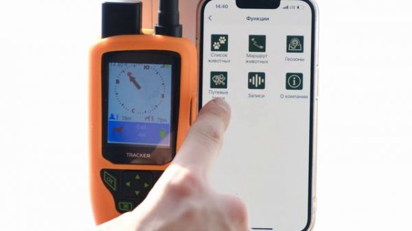 Ротвейлер в городе. Реакция людей😲 Проверка GPS Ошейника ARTELV TRACKER SOLO в городе